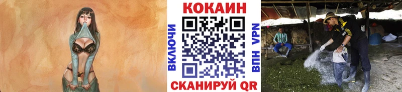 Купить Макушино Кокаин 98%
