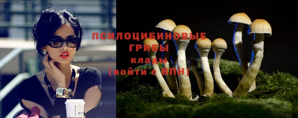 альфа пвп Вяземский