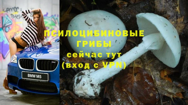 альфа пвп Вяземский