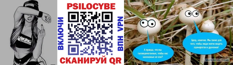 Галлюциногенные грибы Cubensis  Купить где  Макушино 