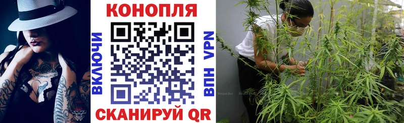 Каннабис Amnesia Макушино